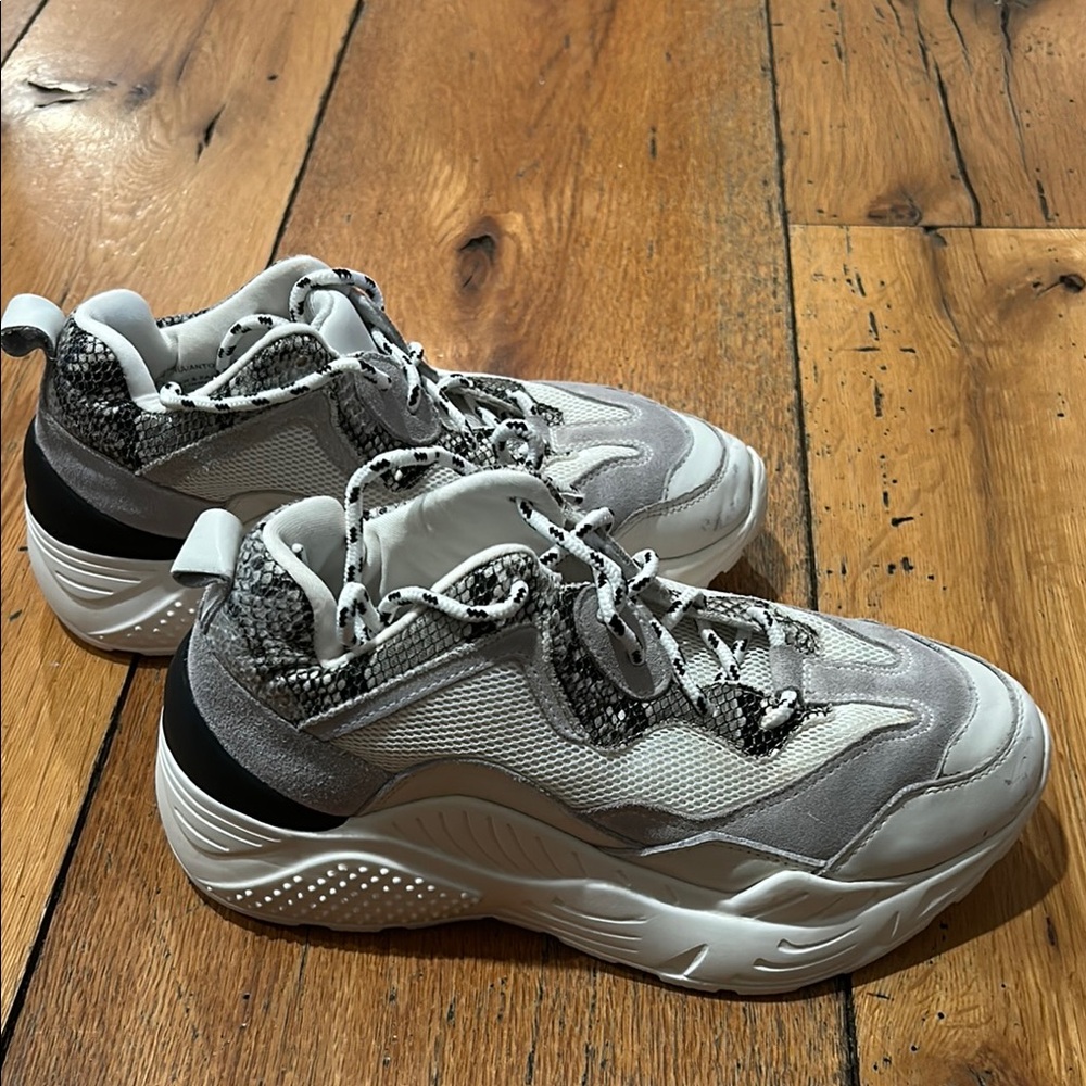 Stylish White and Gray Sneakers Steve Madden Size 6